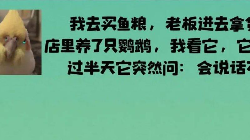 餐饮供应链：揭秘十大品牌背后的实力与选择**